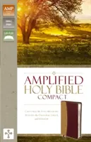 Bibbia Amplificata-Am-Compact: Cattura il pieno significato dell'originale greco ed ebraico - Amplified Bible-Am-Compact: Captures the Full Meaning Behind the Original Greek and Hebrew
