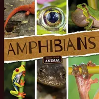 Anfibi - Amphibians