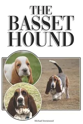 Il Basset Hound: Guida completa ed esaustiva per principianti a: Acquisto, possesso, salute, toelettatura, addestramento, obbedienza, comprensione - The Basset Hound: A Complete and Comprehensive Beginners Guide To: Buying, Owning, Health, Grooming, Training, Obedience, Understanding