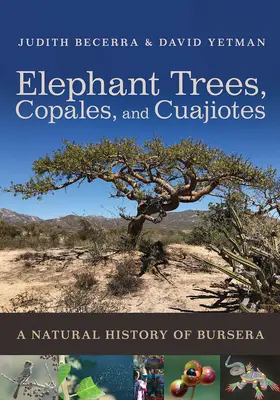Alberi elefante, Copales e Cuajiotes: Storia naturale della Bursera - Elephant Trees, Copales, and Cuajiotes: A Natural History of Bursera