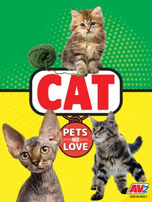 Gatto - Cat