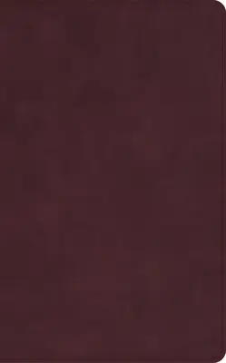 Bibbia CSB a colonna singola formato personale, Holman Handcrafted Collection, pelle di vitello borgogna marmorizzata premium - CSB Single-Column Personal Size Bible, Holman Handcrafted Collection, Premium Marbled Burgundy Calfskin