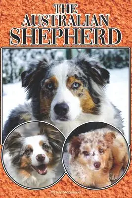 Il pastore australiano: Una guida completa ed esaustiva per principianti a: Acquistare, possedere, salute, curare, addestrare, obbedire, capire - The Australian Shepherd: A Complete and Comprehensive Beginners Guide To: Buying, Owning, Health, Grooming, Training, Obedience, Understanding