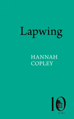 Pavoncella - Lapwing