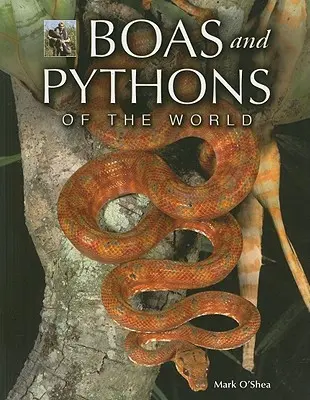 Boa e pitoni del mondo - Boas and Pythons of the World