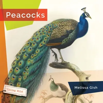 I pavoni - Peacocks