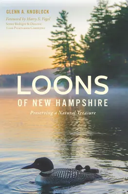 I limoni del New Hampshire: La conservazione di un tesoro naturale - Loons of New Hampshire: Preserving a Natural Treasure