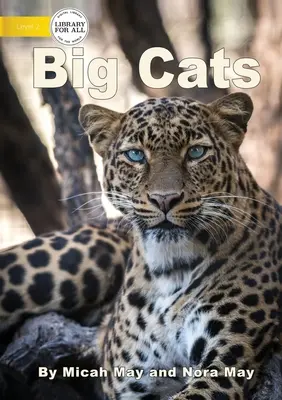 Gatti grandi - Big Cats