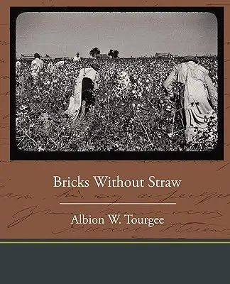 Mattoni senza paglia - Bricks Without Straw