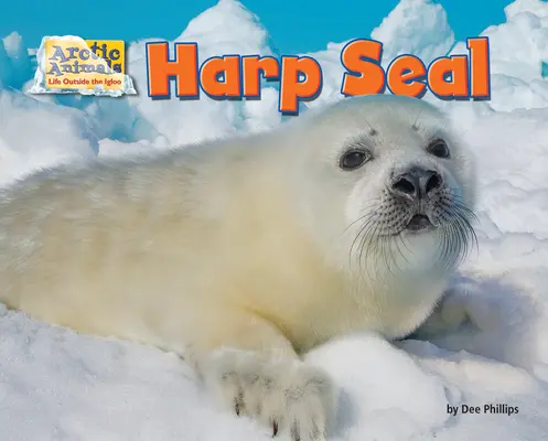 La foca dell'arpa - Harp Seal