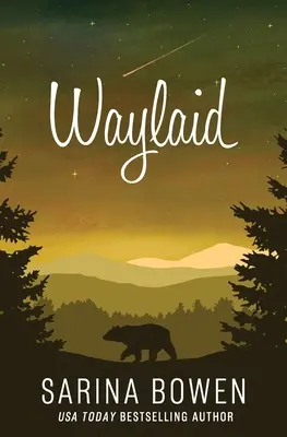 Intrappolati - Waylaid