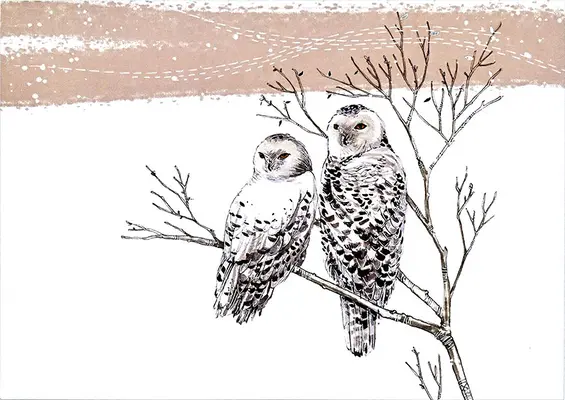 Gufi innevati: biglietti di auguri deluxe in scatola - Snowy Owls Deluxe Boxed Holiday Cards