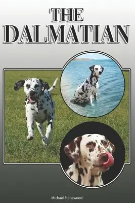 Il Dalmata: Una guida completa ed esauriente per i proprietari a: Acquistare, possedere, salute, toelettatura, addestramento, obbedienza, comprensione e - The Dalmatian: A Complete and Comprehensive Owners Guide To: Buying, Owning, Health, Grooming, Training, Obedience, Understanding and