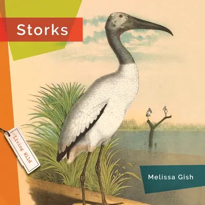 Cicogne - Storks