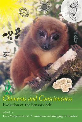 Chimere e coscienza: L'evoluzione dell'io sensoriale - Chimeras and Consciousness: Evolution of the Sensory Self