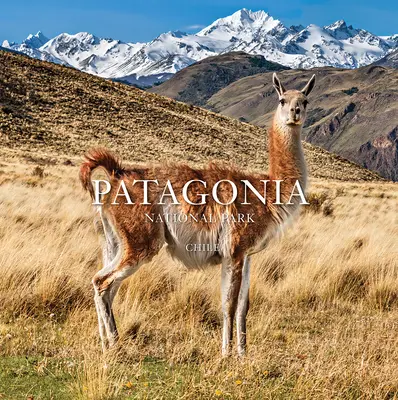 Parco nazionale della Patagonia: Cile: Cile - Patagonia National Park: Chile: Chile