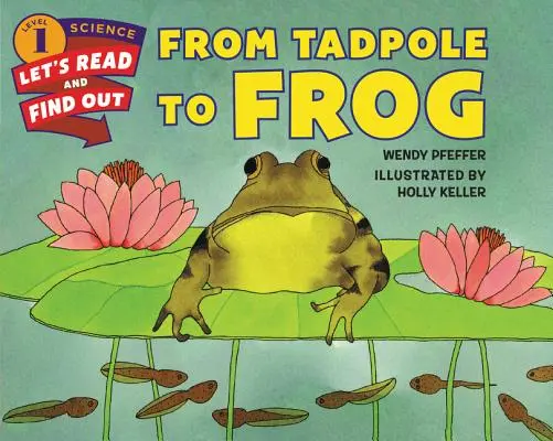 Dal girino alla rana - From Tadpole to Frog