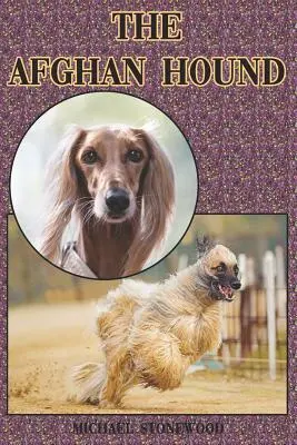 Il mastino afgano: Guida completa ed esaustiva per principianti a: Acquistare, possedere, salute, toelettatura, addestramento, obbedienza, comprensione - The Afghan Hound: A Complete and Comprehensive Beginners Guide To: Buying, Owning, Health, Grooming, Training, Obedience, Understanding