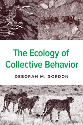 L'ecologia del comportamento collettivo - The Ecology of Collective Behavior