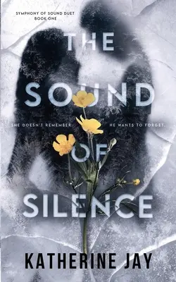 Il suono del silenzio - The Sound Of Silence