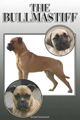 Il Bullmastiff: Una guida completa ed esaustiva per i proprietari a: Acquistare, possedere, salute, toelettatura, addestramento, obbedienza, comprensione e - The Bullmastiff: A Complete and Comprehensive Owners Guide To: Buying, Owning, Health, Grooming, Training, Obedience, Understanding and
