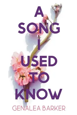 Una canzone che conoscevo - A Song I Used to Know