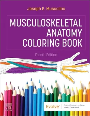 Libro da colorare di anatomia muscoloscheletrica - Musculoskeletal Anatomy Coloring Book