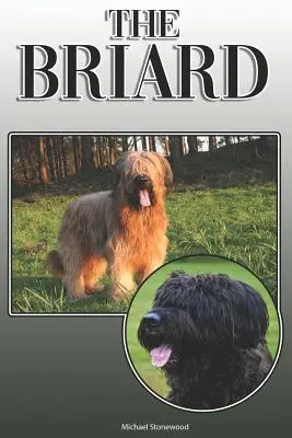 Il Briard: Una guida completa ed esaustiva per il proprietario: Acquistare, possedere, salute, toelettatura, addestramento, obbedienza, comprensione e - The Briard: A Complete and Comprehensive Owners Guide To: Buying, Owning, Health, Grooming, Training, Obedience, Understanding and