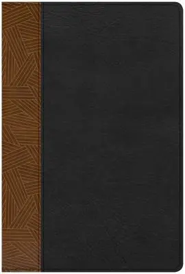 Bibbia da studio CSB Arcobaleno, nero/marrone, pelle e cuoio - CSB Rainbow Study Bible, Black/Tan Leathertouch