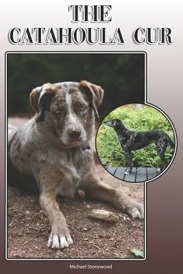 Il Catahoula Cur: Una guida completa ed esauriente per il proprietario: Acquistare, possedere, salute, toelettatura, addestramento, obbedienza, comprensione e - The Catahoula Cur: A Complete and Comprehensive Owners Guide To: Buying, Owning, Health, Grooming, Training, Obedience, Understanding and