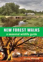 Passeggiate nella Nuova Foresta - New Forest Walks