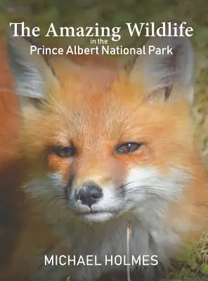 La sorprendente fauna selvatica del Parco Nazionale Prince Albert - The Amazing Wildlife in the Prince Albert National Park